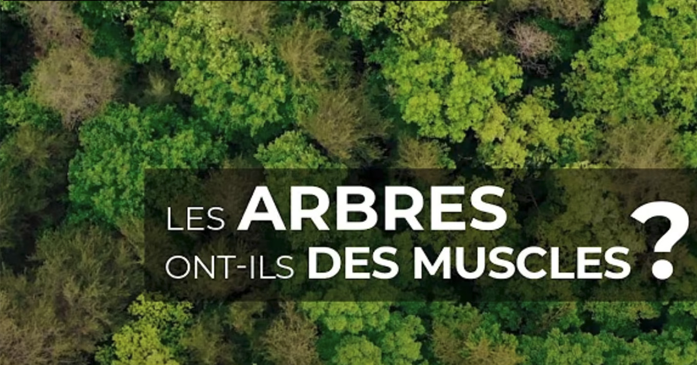 Université Clermont Auvergne - Laboratoire PIAF - Les arbres ont-ils des muscles ?
